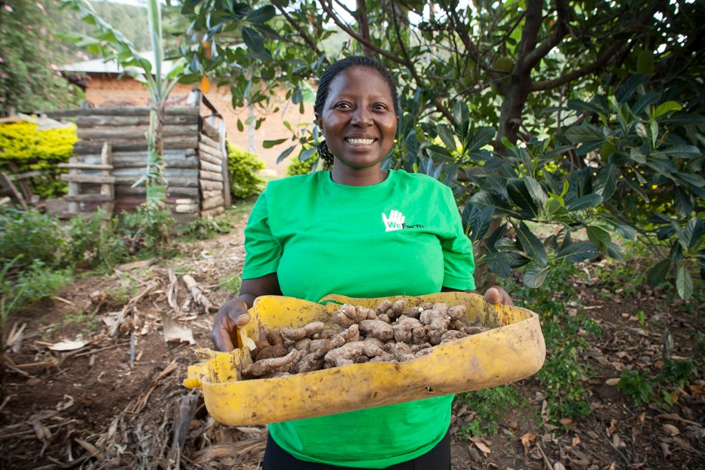 Wefarm secures $13 Million in funding to scale its Smallholder Agricultural&nbsp;Ecosystem